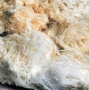 Putzlappen Putzwolle Weiss 25 KG
